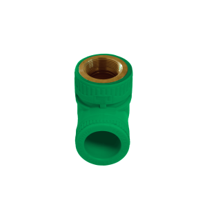 كوع بسن انثي