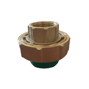 لاكور  انثي