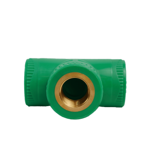 مشترك بسن انثي